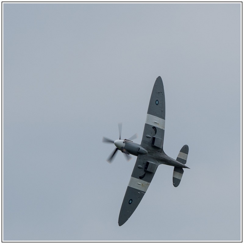 la ferte alais 2015_2-37.jpg
